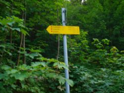 2013-07-20_Regina-F-Rau_Kochel-Rabenkopf (577).JPG